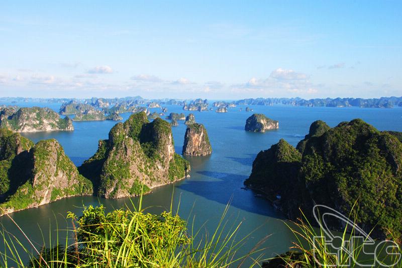 Kham pha y nghia lich su va tam quan trong cua la co quoc gia trong hinh thanh dan toc